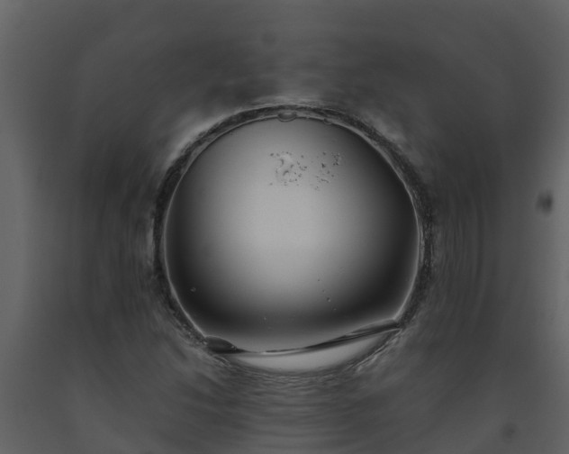 X0000093461214200710191117