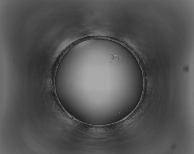 X0000093461215200710191117