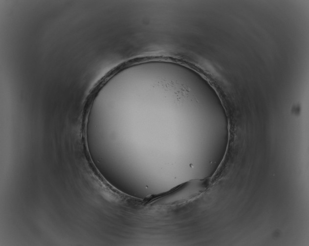 X0000093461216200710191117