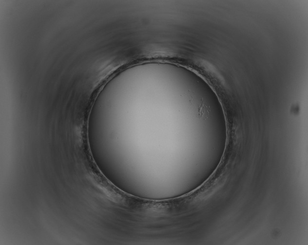 X0000093461217200710191117