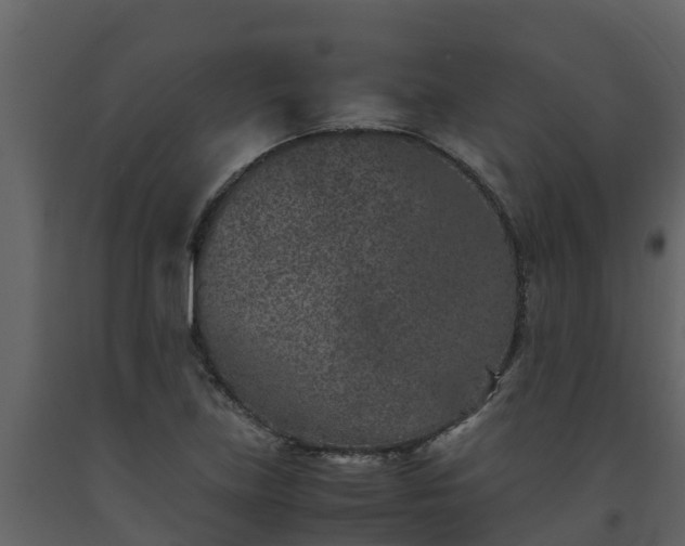 X0000093461219200710191117