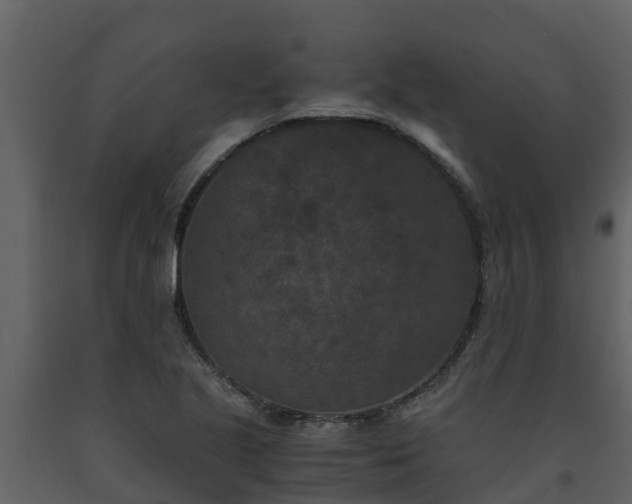 X0000093461221200710191117