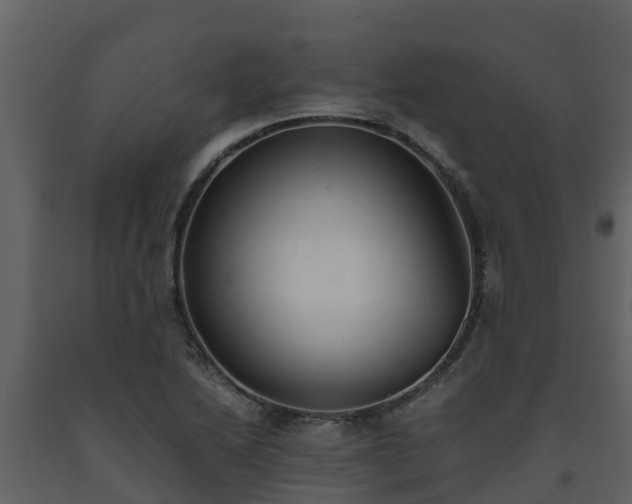 X0000093461222200710191117