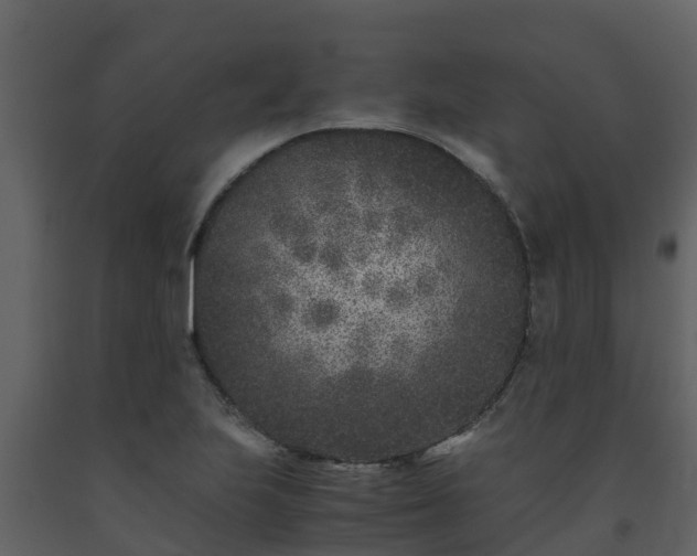 X0000093461223200710191117