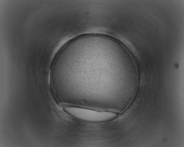 X0000093461224200710191117