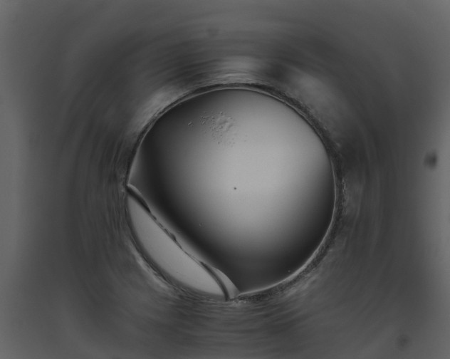 X0000093461225200710191117