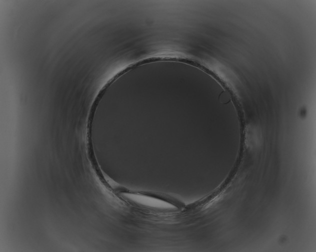 X0000093461229200710191117