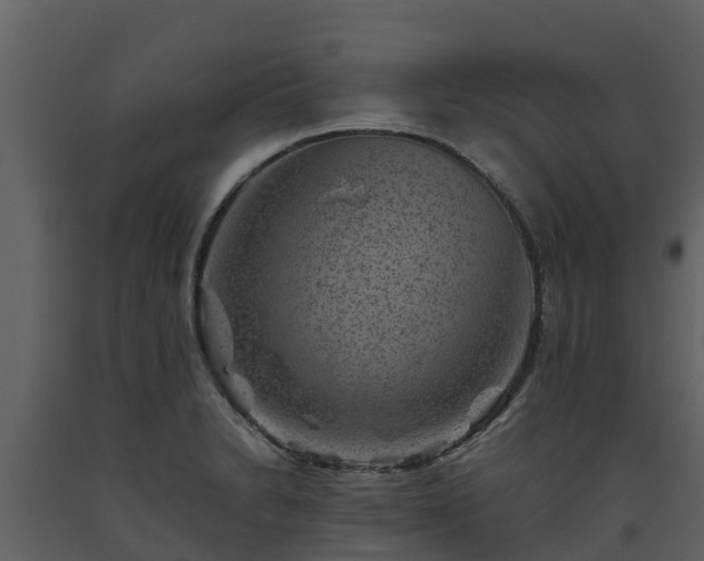 X0000093461230200710191117