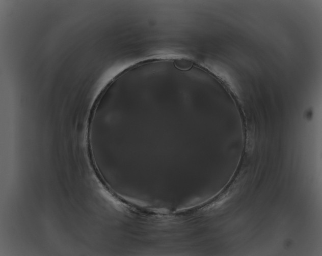 X0000093461231200710191117