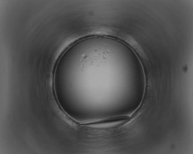 X0000093461232200710191117