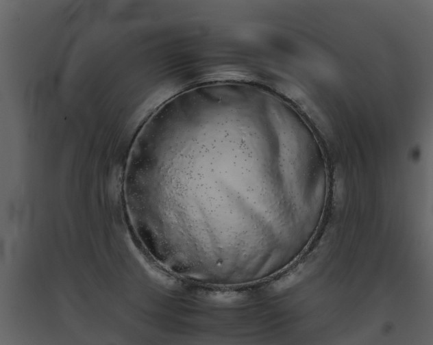 X0000093461233200710191117