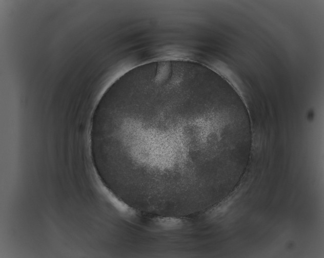 X0000093461235200710191117