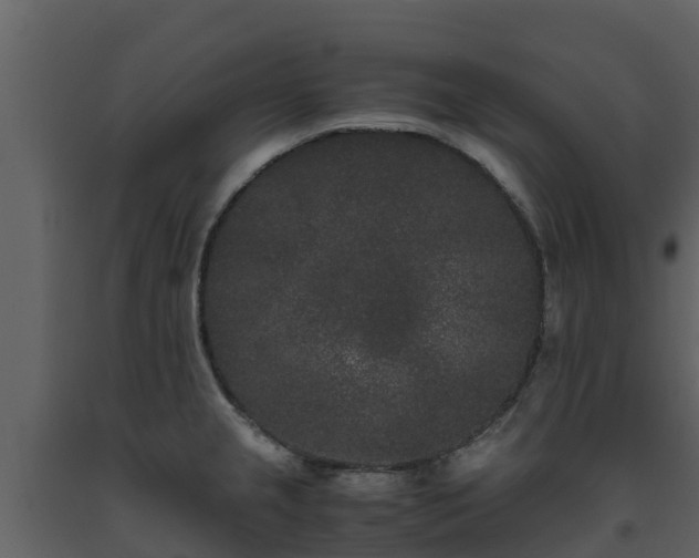 X0000093461237200710191117