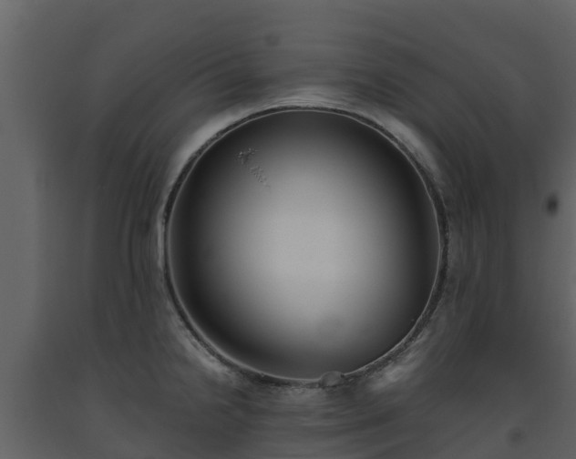 X0000093461238200710191117