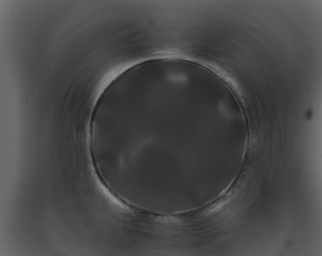 X0000093461239200710191117