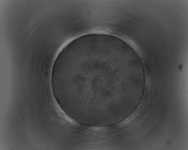 X0000093461240200710191117