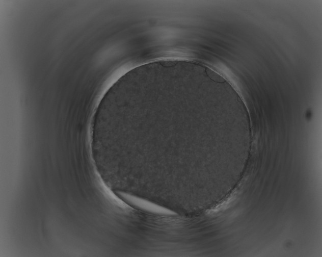 X0000093461243200710191117