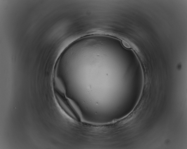 X0000093461247200710191117