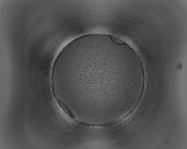 X0000093461248200710191117