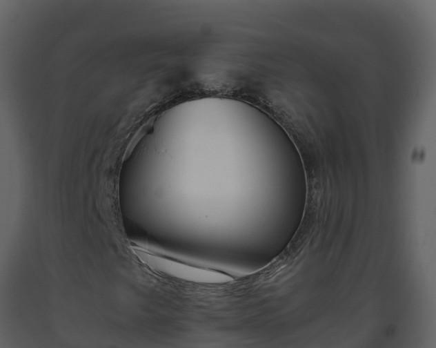 X0000093461249200710191117