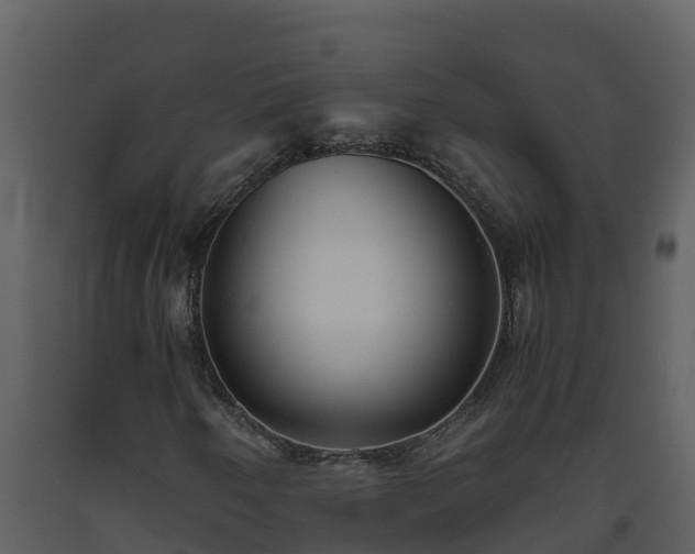 X0000093461250200710191117