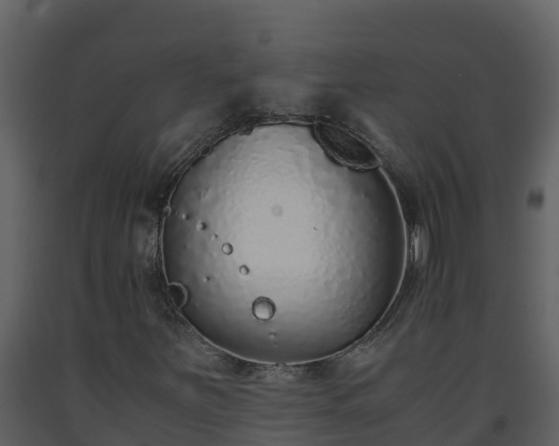 X0000093461251200710191117