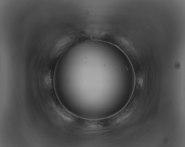 X0000093461252200710191117