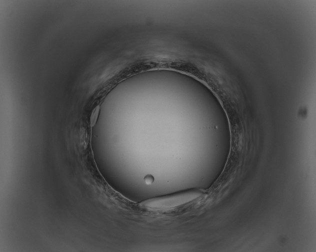 X0000093461253200710191117