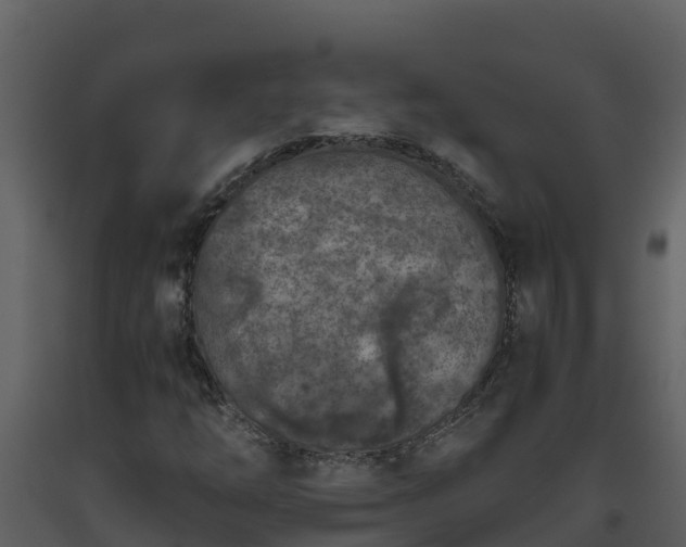 X0000093461254200710191117