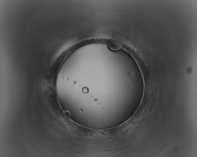 X0000093461255200710191117