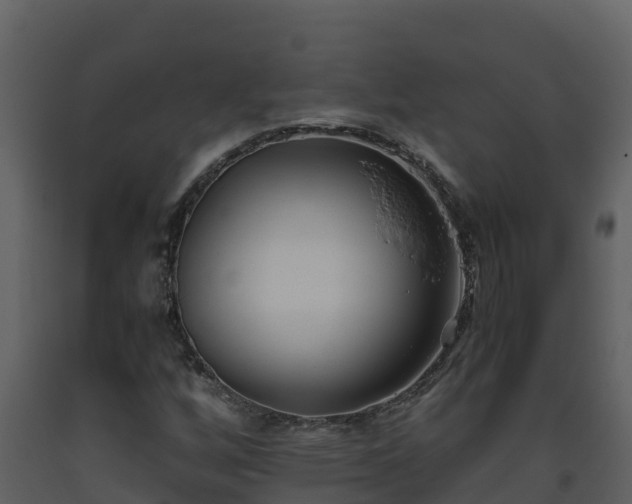 X0000093461256200710191117