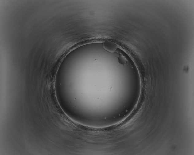 X0000093461257200710191117