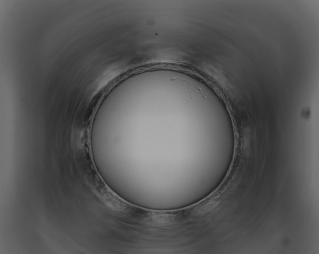 X0000093461258200710191116