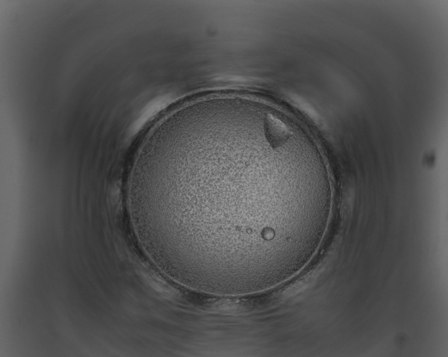 X0000093461259200710191116