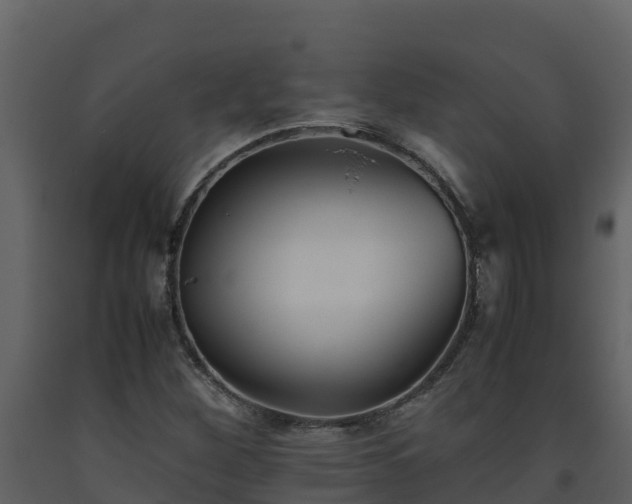 X0000093461260200710191116