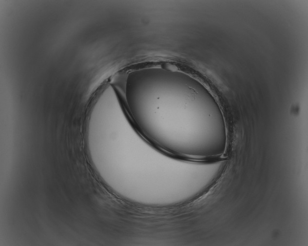 X0000093461261200710191116