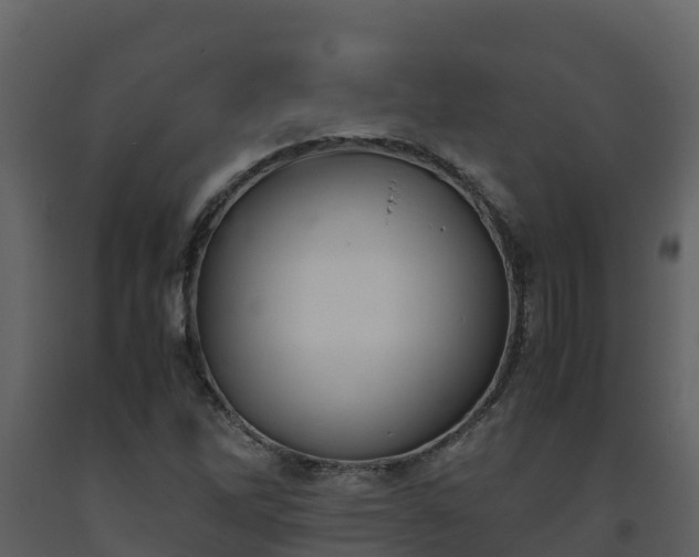 X0000093461262200710191116