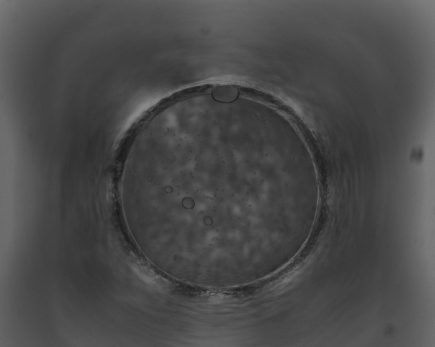 X0000093461263200710191116