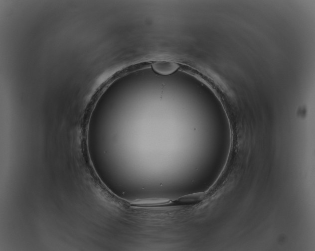 X0000093461264200710191116