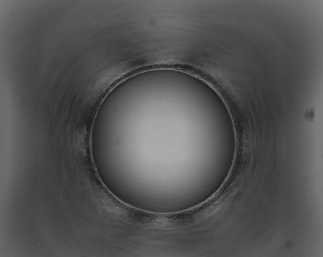 X0000093461265200710191116