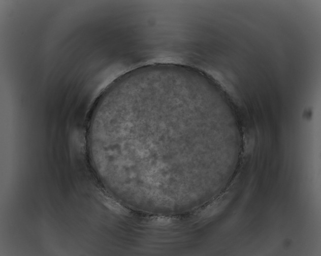 X0000093461266200710191116