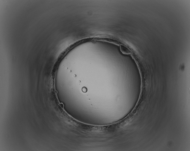 X0000093461267200710191116