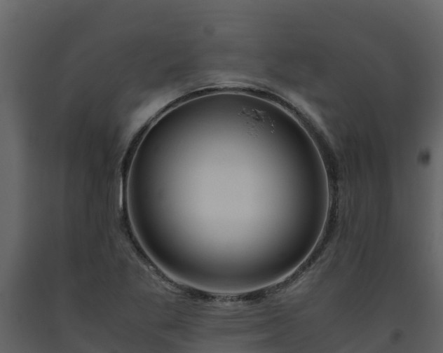 X0000093461269200710191116