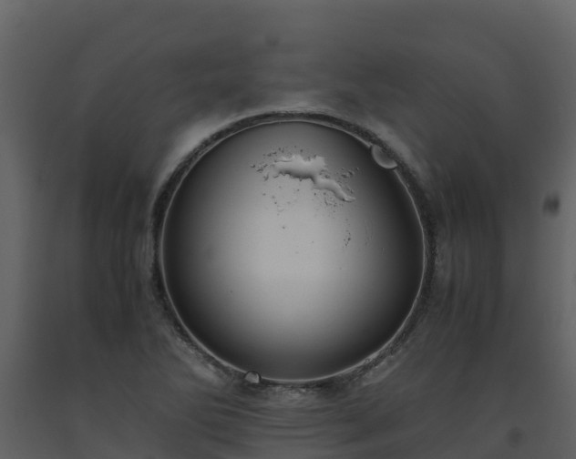 X0000093461270200710191116