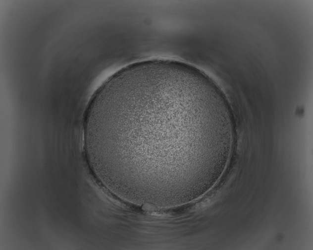 X0000093461271200710191116