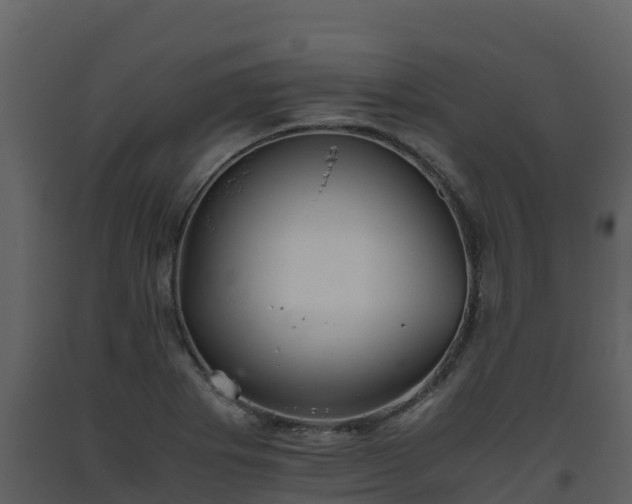 X0000093461273200710191116