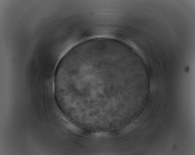 X0000093461274200710191116