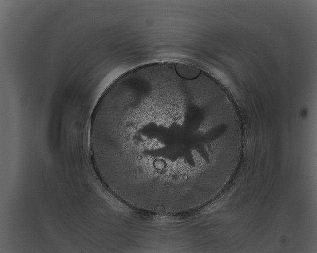 X0000093461275200710191116