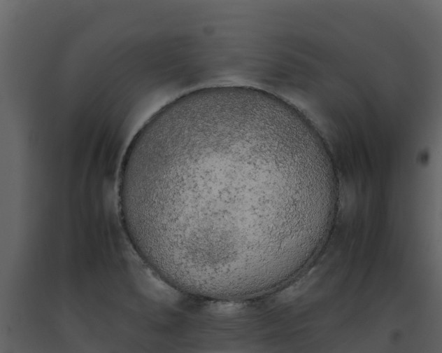 X0000093461278200710191116