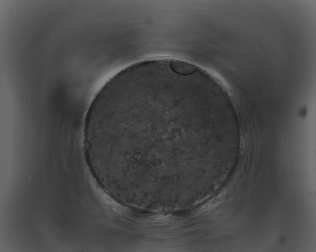 X0000093461279200710191116